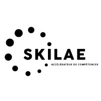 Groupe Skilaé logo - Similar company to Advance Solutions