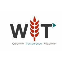 WIT logo - Similar company to Meshectares.Com