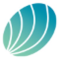 Opalina Technologies logo - Similar company to Codefire Technologies Pvt Ltd