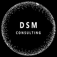 DSM Consulting logo - Similar company to Dsm Consulting Group