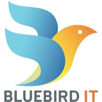 Bluebird IT logo - Similar company to Bluebird It Solutions - A Wellstar Company