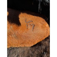 MARJOR S. A. logo - Similar company to At Home Care