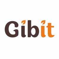 Gibit logo - Similar company to Analyze.Cl