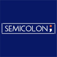 SEMICOLON logo - Similar company to Shareview Sas