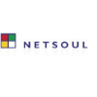 Netsoul srl logo - Similar company to Netsoul Technologies