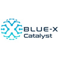Blue-X Catalyst logo - Similar company to Selecta Training
