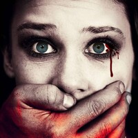 Shadow of the Run, LLC logo - Similar company to Immersive Denver