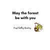 Forest bathing Academy logo - Similar company to Newexperts Bv