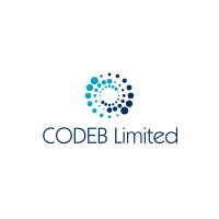 CODEB Limited logo - Similar company to Codeb Private Limited