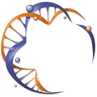 The Laser Training Institute logo - Similar company to Vms Ventura Medtech Solutions (Vmsbiomedical.Com)