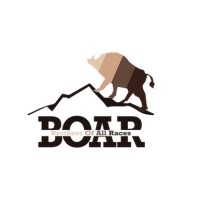 BOAR/SOAR logo - Similar company to Dot In Technology