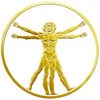 Da Vinci Ltd logo - Similar company to Davinci Plastic Surgery