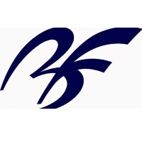 Botti & Ferrari logo - Similar company to De Simone & Partners