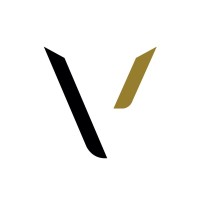 Capital V Strategies logo - Similar company to Imx Data