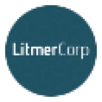 Litmer Corp logo - Similar company to Dailylabs