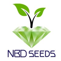 Negin Bazr Danesh logo - Similar company to Negin Bazr Danesh Co