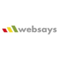 Websays logo - Similar company to Efidata