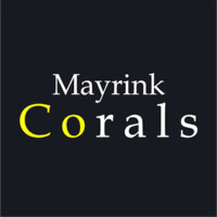 Mayrink Corals