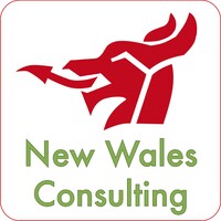 New Wales Consulting logo - Similar company to Sundial Consulting