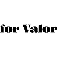 for Valor logo - Similar company to Assessio Bloom