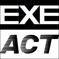 Exe Act logo - Similar company to Grupo Wow