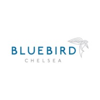 Bluebird Chelsea logo - Similar company to Wanderlnd