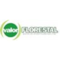 Valor Florestal - Gestao De Ativos Florestais
