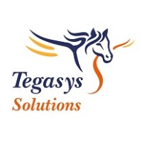 Tegasys Solutions logo - Similar company to Anqa It-Security