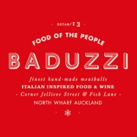 Baduzzi logo - Similar company to Spies - South Pacific Indigenous Engineering Students