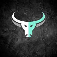 Hirebulls Recruitment logo - Similar company to Daimios Infrastructure
