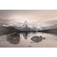 Swissfinity Group logo - Similar company to Bdb Leasing Ead
