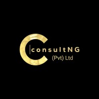 ConsultNG (Private) Ltd logo - Similar company to One Extra Zero
