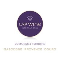 CAP WINE INTERNATIONAL logo - Similar company to Sas Digital Screen