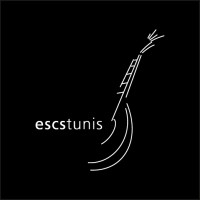 Escstunis