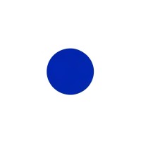 Blue Dot Analytics logo - Similar company to Starpay Corporation