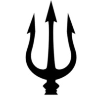 Trident Project Group