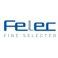 FELEC Electronics GmbH logo - Similar company to Femtume