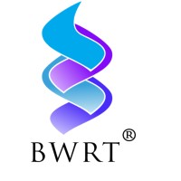 BrainWorking® Recursive Therapy SA logo - Similar company to Prohuman Coaching Psychologists