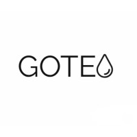GOTEO ai logo - Similar company to Proxemics Consulting