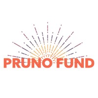 Pruno Fund logo - Similar company to Rw Ventures, Llc