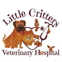 Little Critters Veterinary Hospital logo - Similar company to Mesa General Hospital Lp