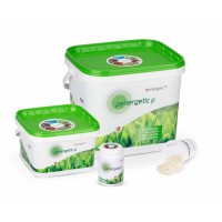 Penergetic Turkey logo - Similar company to Dynamis Bio