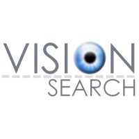 Visionsearch logo - Similar company to Delficlinic