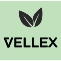Vellex Inc. logo - Similar company to Rogue Workforce Partnership