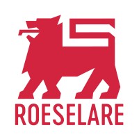 Delhaize Roeselare logo - Similar company to Alusion Bv