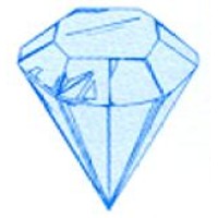 Diamond Ice Systems Ltd. logo - Similar company to Refrigerative Supply Limited
