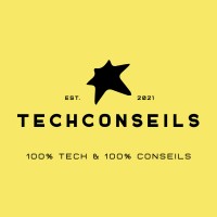 TechConseils logo - Similar company to Maxfy