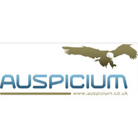 Auspicium Limited logo - Similar company to We Know Rugby