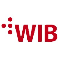 WIB Technologies logo - Similar company to Four Directions Consulting Llc