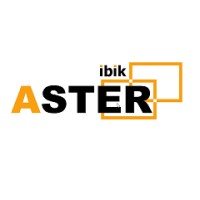 IBIK Software logo - Similar company to Mitigator